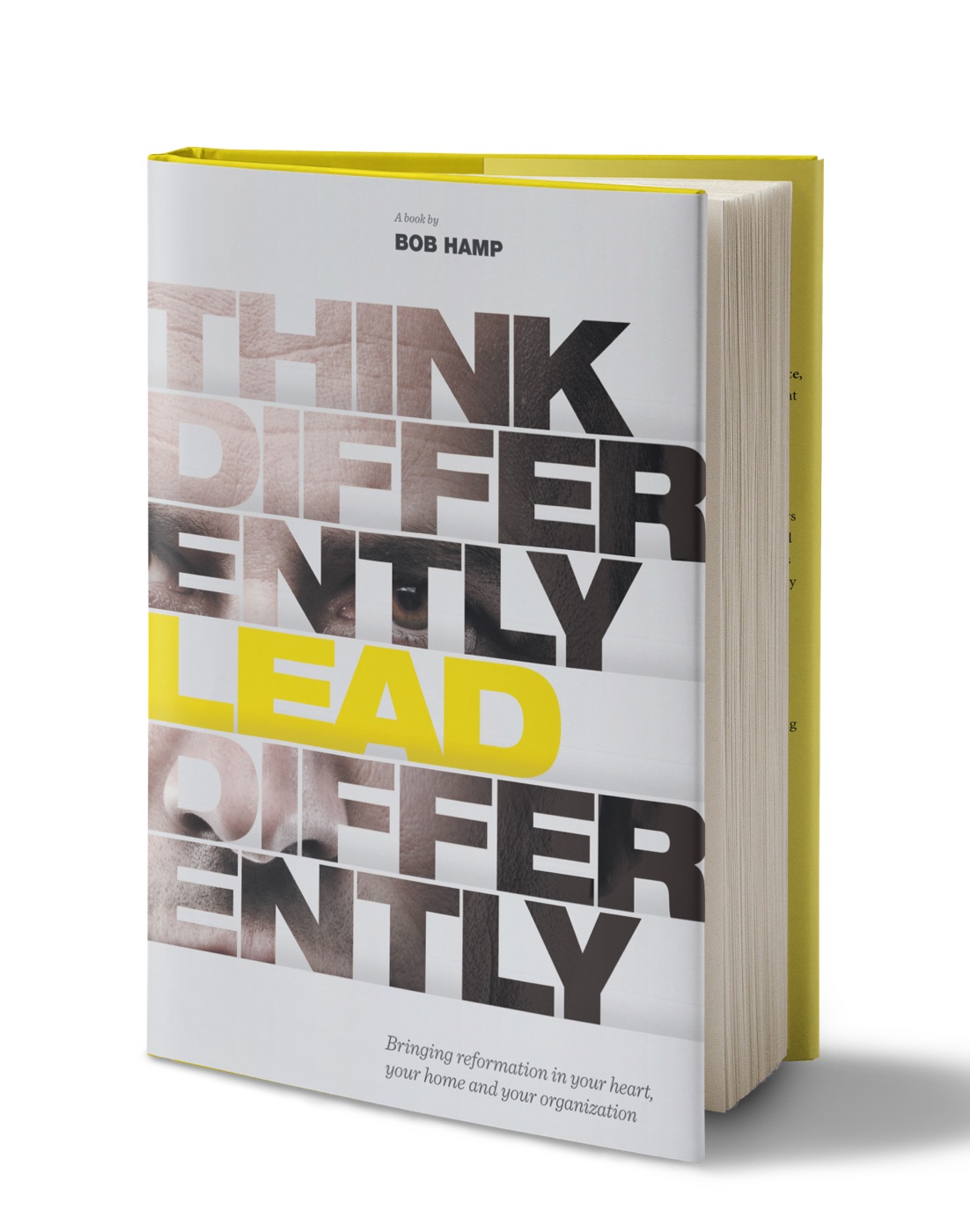 Cover of Think Differently Lead Differently