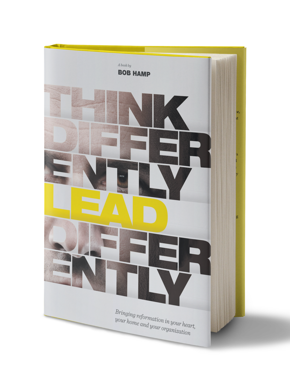 Cover of Think Differently Lead Differently